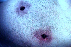 CSI på DVD Ending Happy